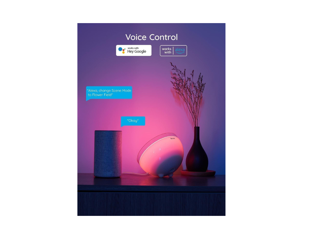 Govee Ambient RGBWW Portable Table Lamp | Same-Day Delivery in Qatar Govee Ambient RGBWW Portable Table Lamp | Same-Day Delivery in Qatar